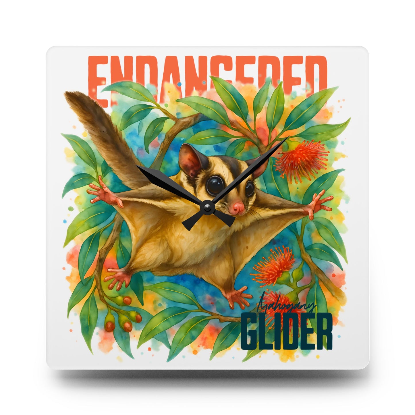 Endangered Mahogany Glider – Square Wall Clock | Australian Wildlife Conservation Design | Waratah and Wood Hearts and Habitats