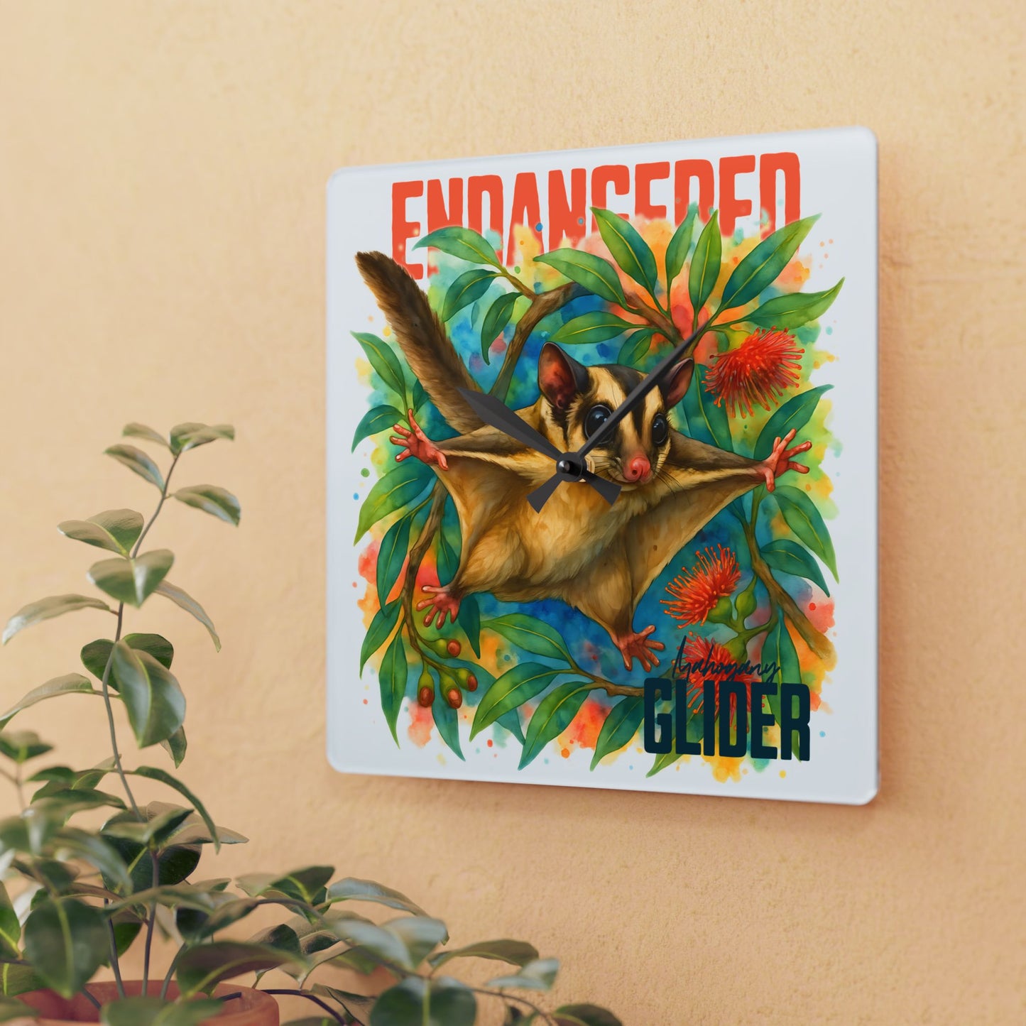 Endangered Mahogany Glider – Square Wall Clock | Australian Wildlife Conservation Design | Waratah and Wood Hearts and Habitats